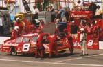Budweiser 8 Monte Carlo